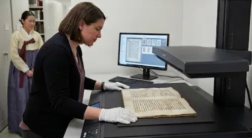 Curatorial Services